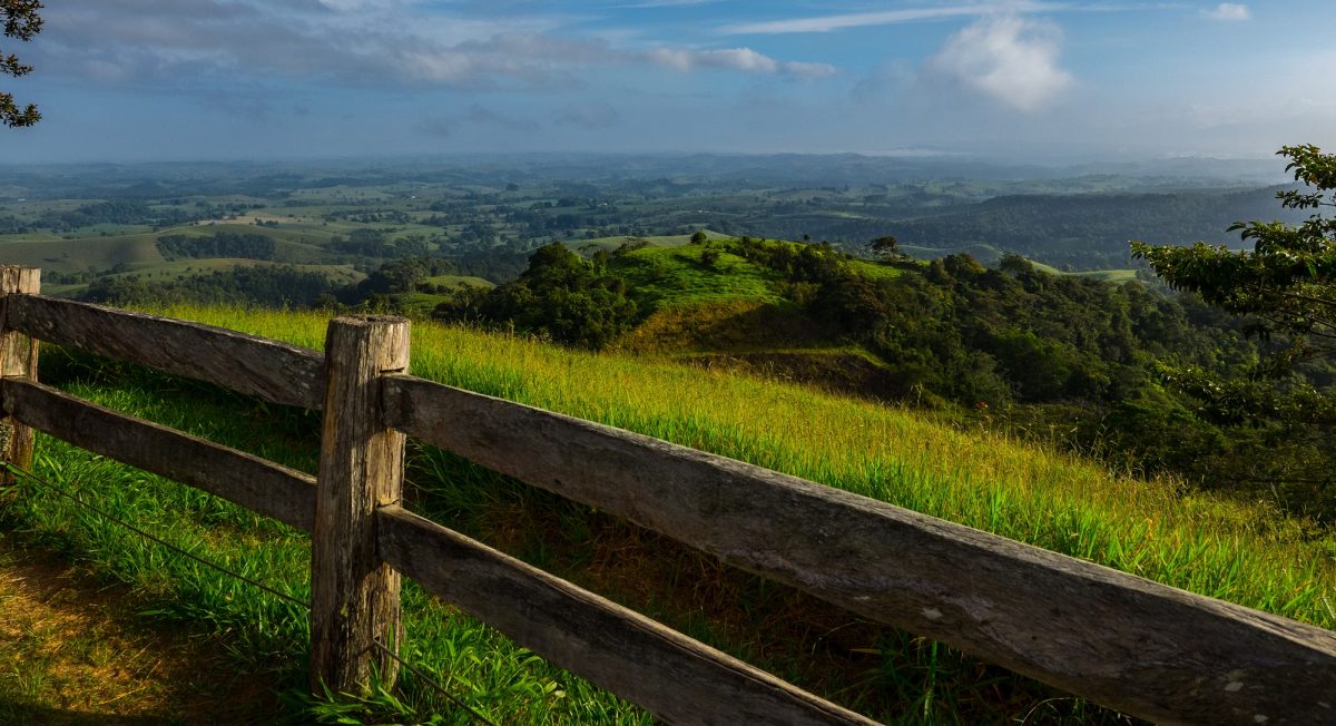 Millaa Millaa Lookout