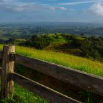 Millaa Millaa Lookout