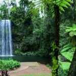 Millaa Millaa Falls