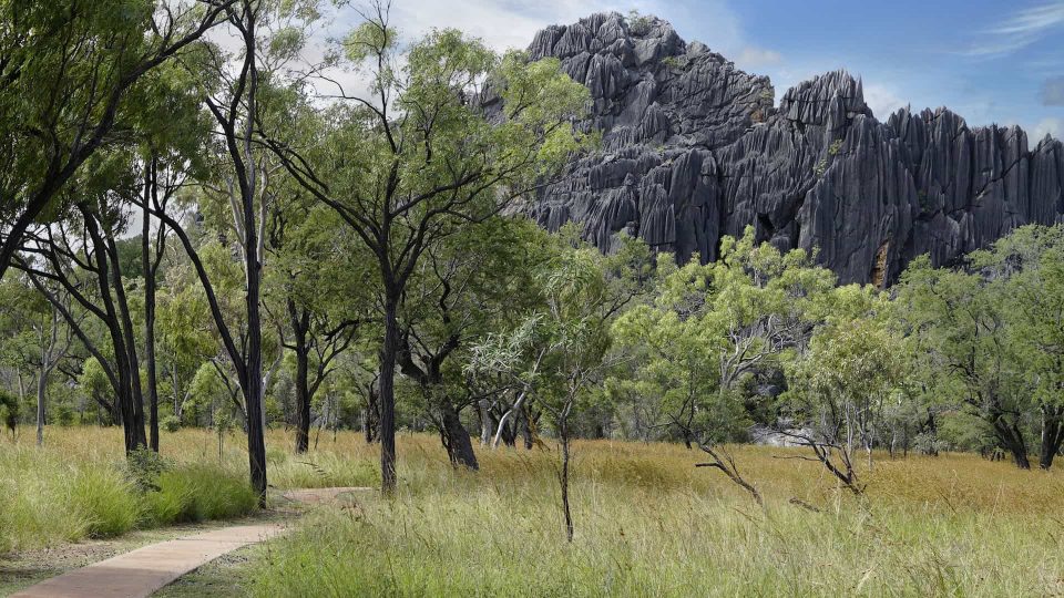 Billy Tea Chillagoe Tour