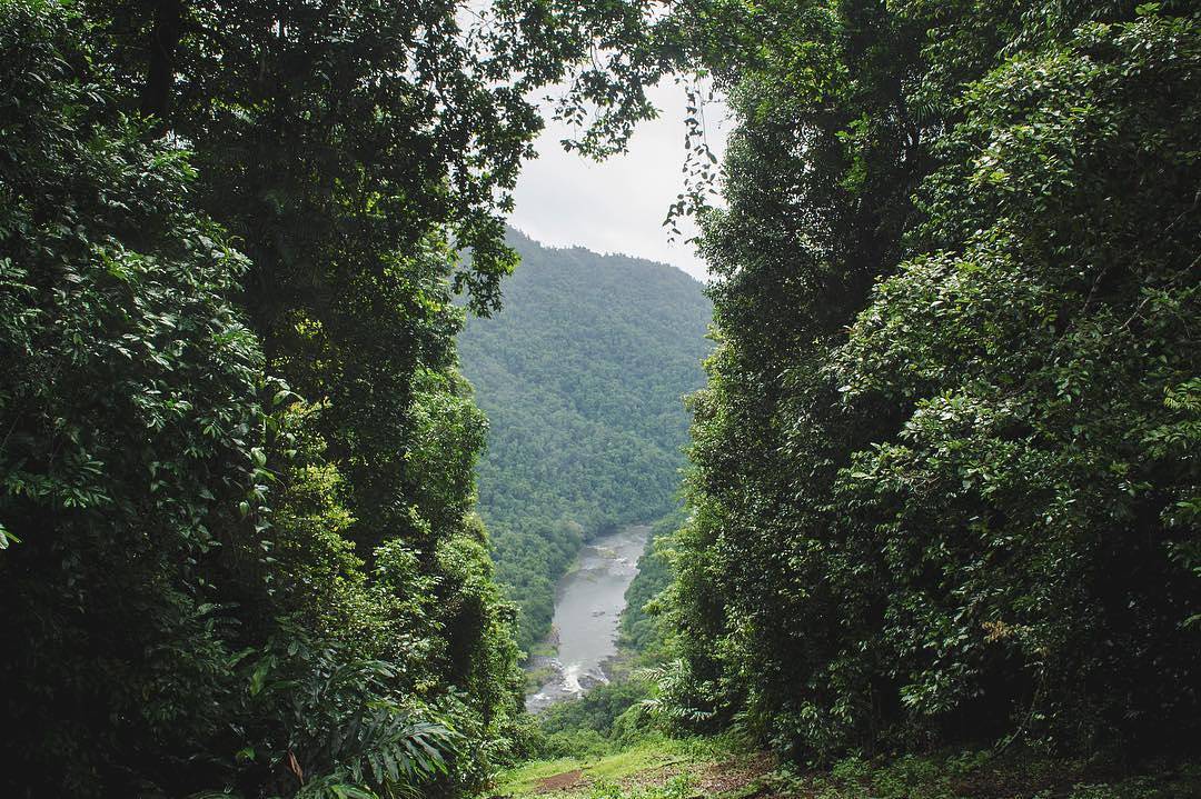 Be Inspired by this Atherton Tablelands Quadruple - Palmerston Highway by oldmanmoore