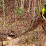 Davies Creek MTB