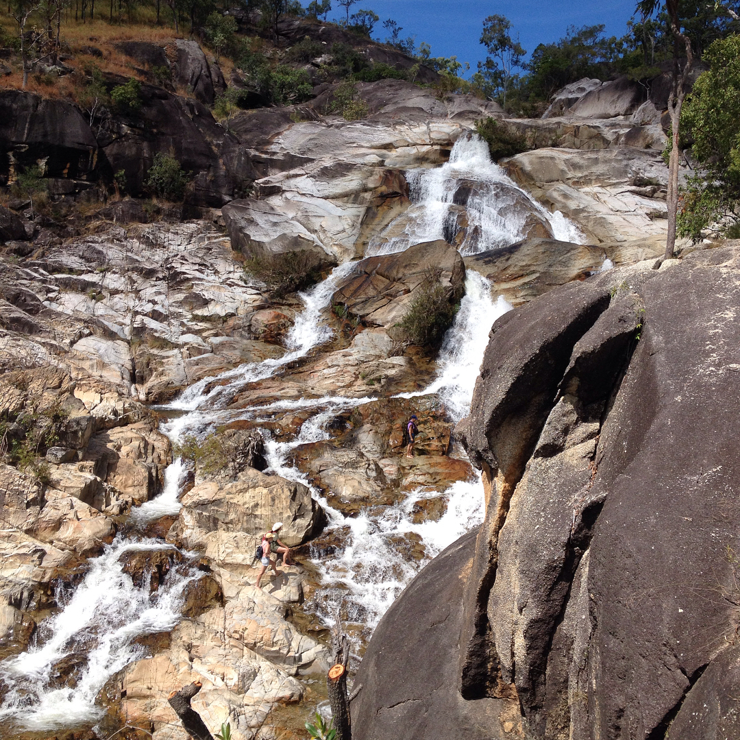 5 Tablelands Wonders That Will Take Your Breath Away - Mt Lewis by beautytodeathratio - Emerald Creek by ethanroach93