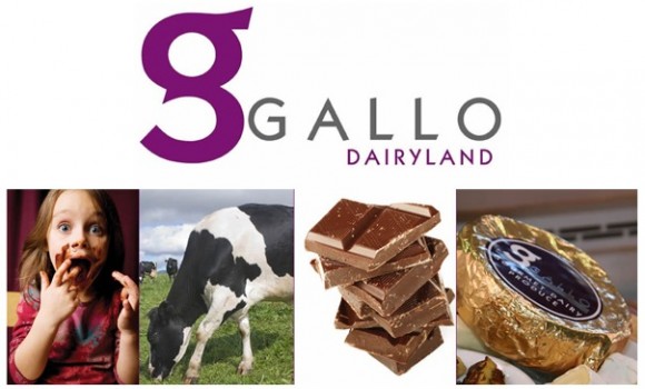 Gallo Dairyland