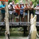 Hartleys Crocodile Adventures