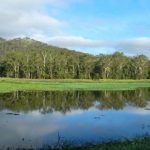 Hasties Swamp