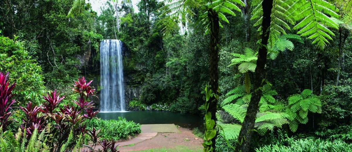 Millaa Millaa Falls