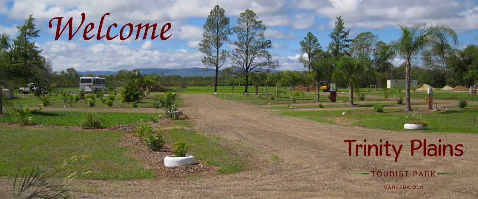 Trinity Plains