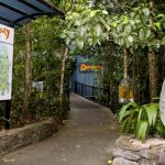daintree discovery centre