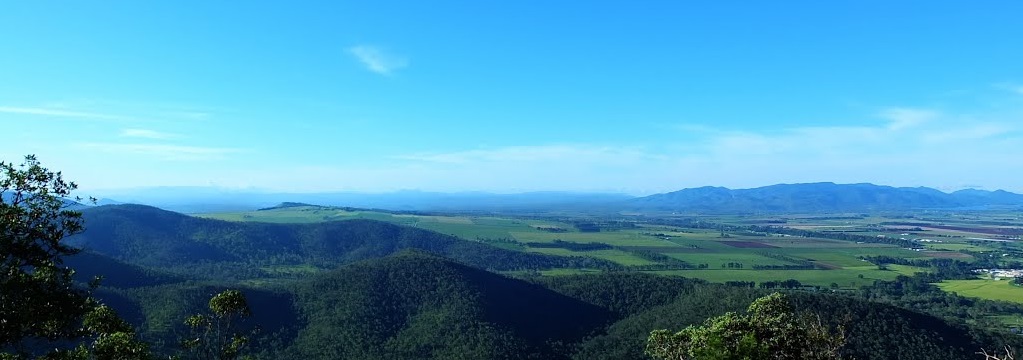 Atherton Views