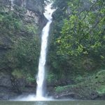 Wet Tropics Nandroya Falls