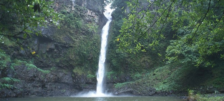 Wet Tropics Nandroya Falls