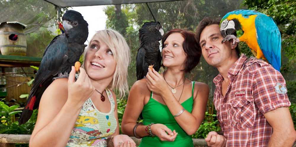 Kuranda Birdworld