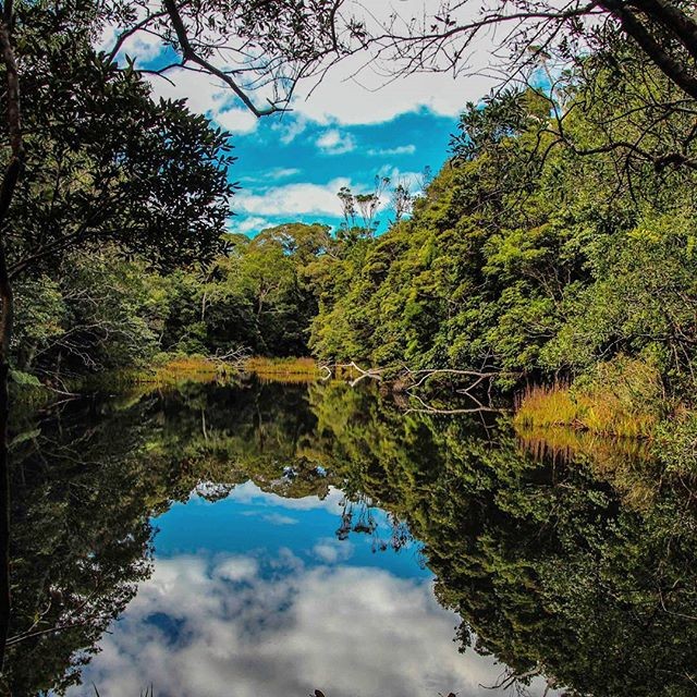 6 Top Spots- Lookouts To Look For - Dam at Mt Lewis by beautytodeathratio