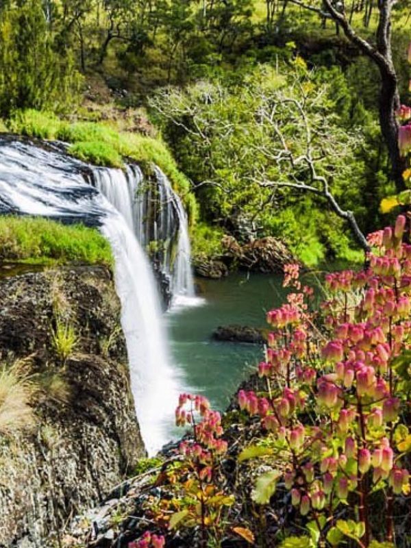 Short Walks on the Atherton Tablelands - Millstream Falls by andrewwatsonphoto