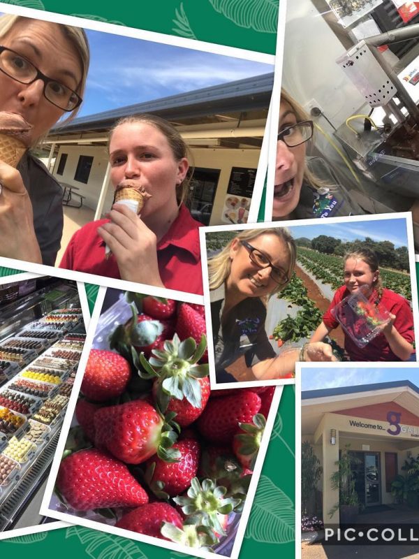 7 Family Friendly Things to Do on the Atherton Tablelands - Emerald Creek Ice Creamery
