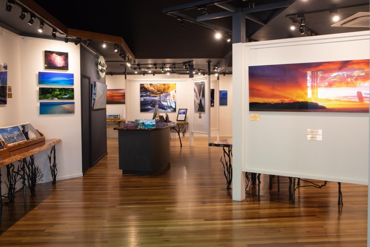 Peter Jarver Gallery